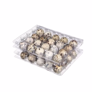 Quail Eggs