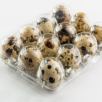 কোয়েল ডিম (25 Quail Eggs)-প্রাকৃতিক স্বাস্থ্যরক্ষক