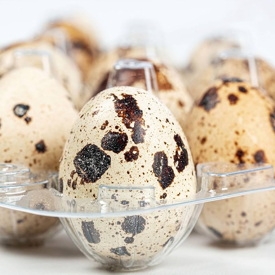 কোয়েল ডিম (25 Quail Eggs)-প্রাকৃতিক স্বাস্থ্যরক্ষক - Image 3